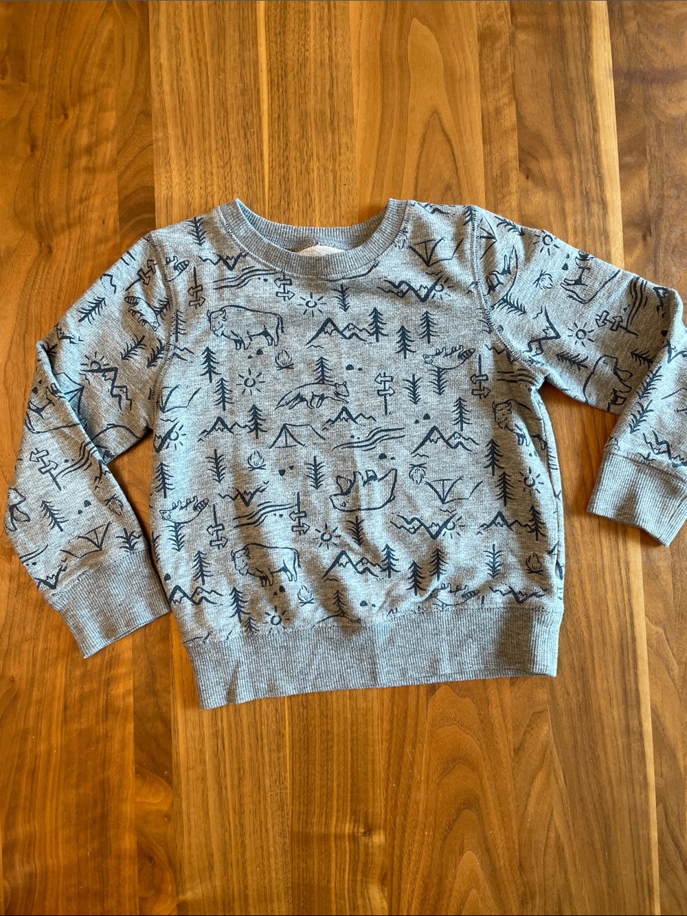 jumping beans Gray Outdoor Adventure Print Sweatshirt